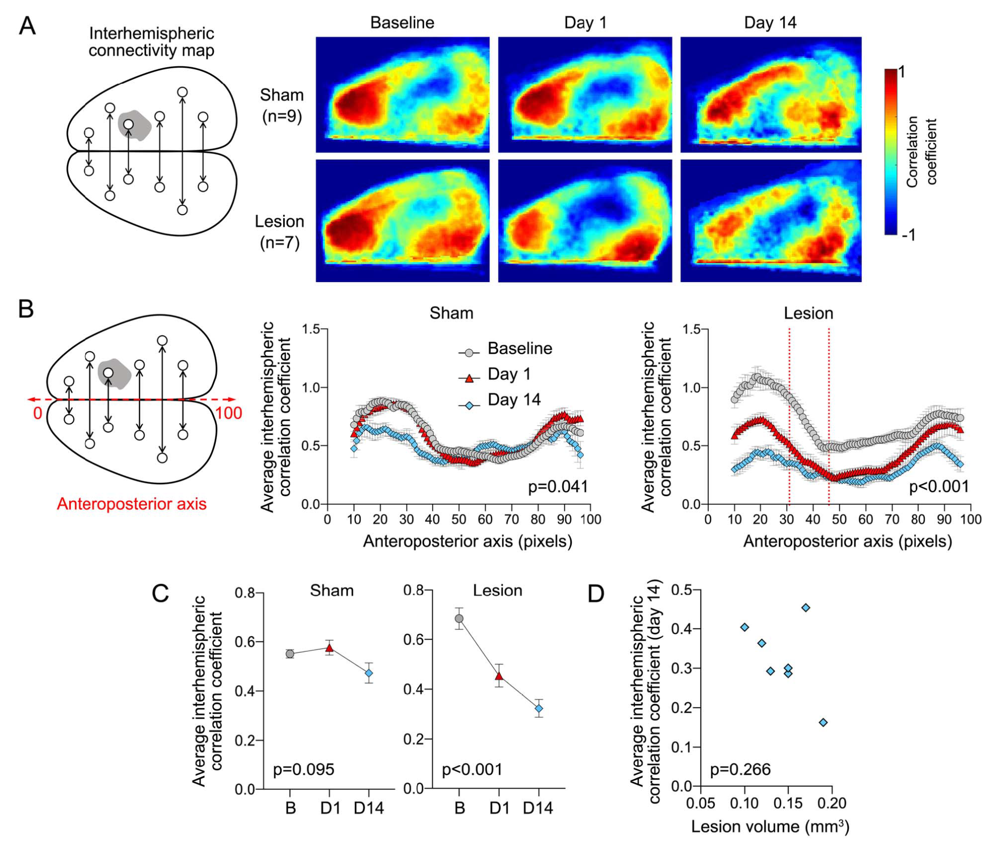 small-vessel-disease-neurovascular-research-unit